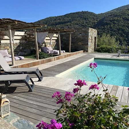 Chambres D'Hotes Et Studios De Charme - A Mandria Murato Eksteriør billede
