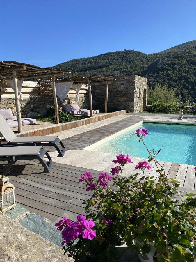 Chambres D'Hotes Et Studios De Charme - A Mandria Murato Eksteriør billede